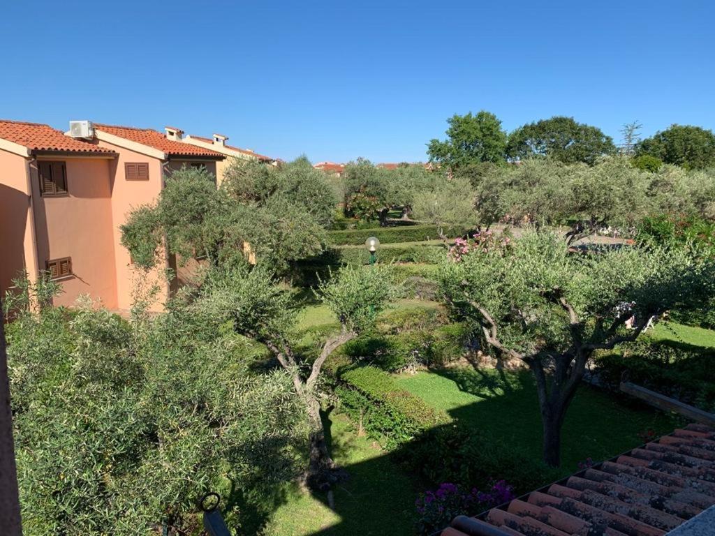 Bilocale Residence Gli Ulivi San Teodoro サン・テオドーロ エクステリア 写真