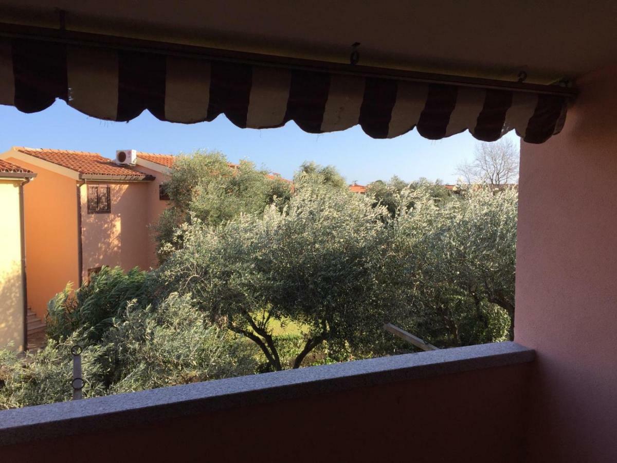 Bilocale Residence Gli Ulivi San Teodoro サン・テオドーロ エクステリア 写真