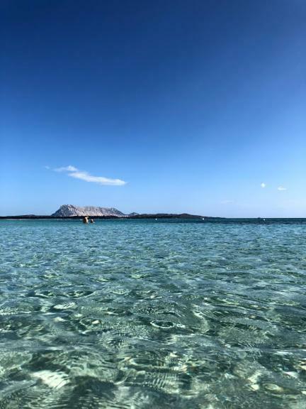 Bilocale Residence Gli Ulivi San Teodoro サン・テオドーロ エクステリア 写真